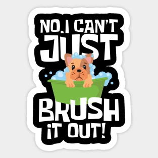 No I Can t Just Brush it Out Sticker